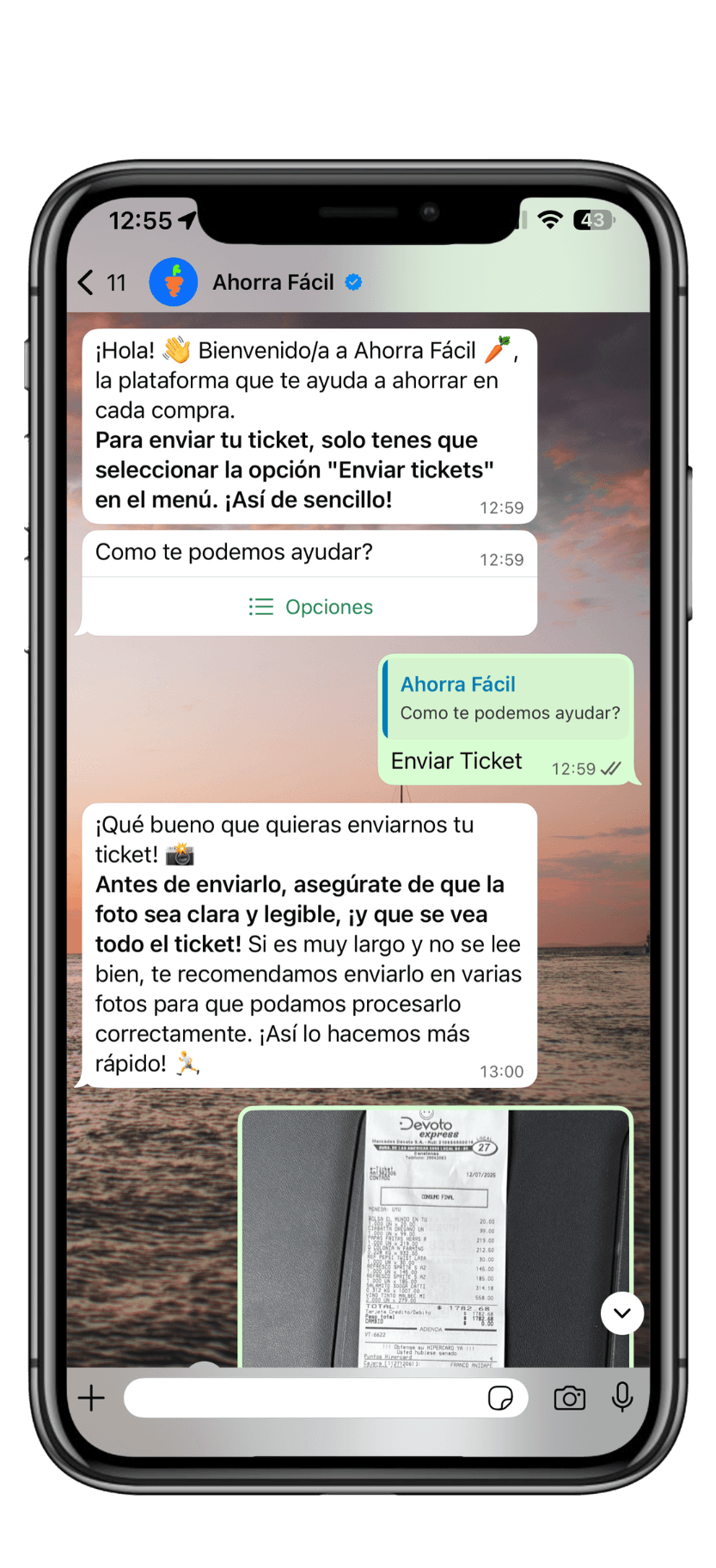 iPhone Preview