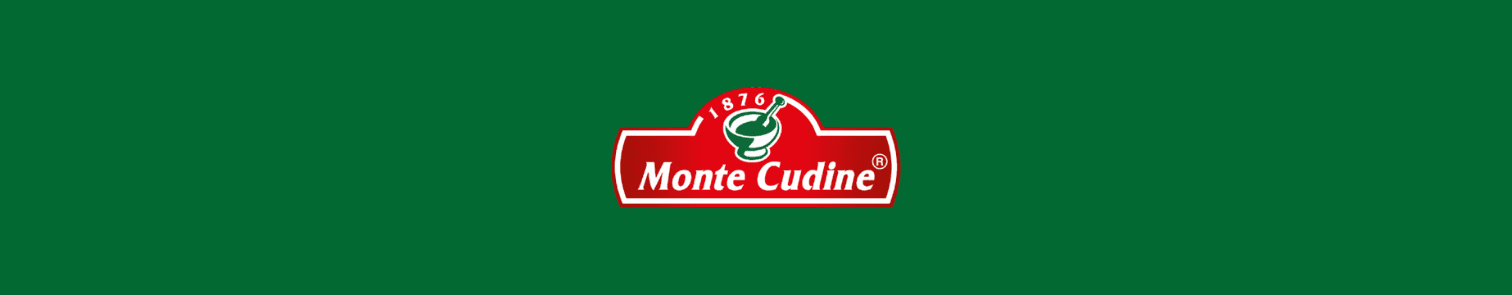 Banner de Monte Cudine