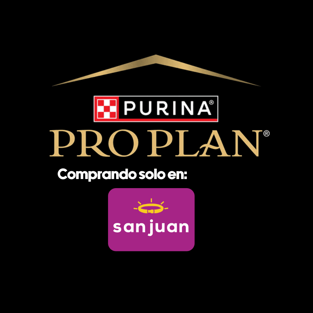 Screenshots of the dashboard project showing desktop version