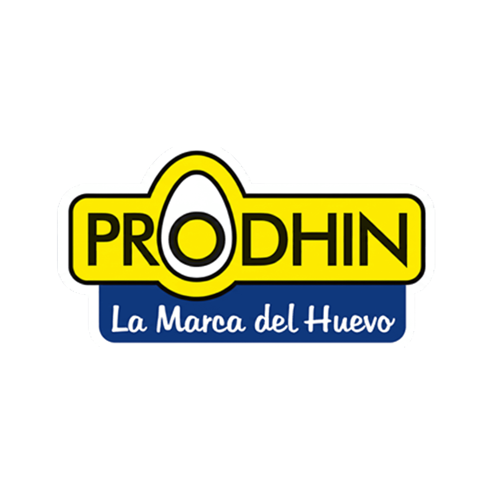 Screenshots of the dashboard project showing desktop version